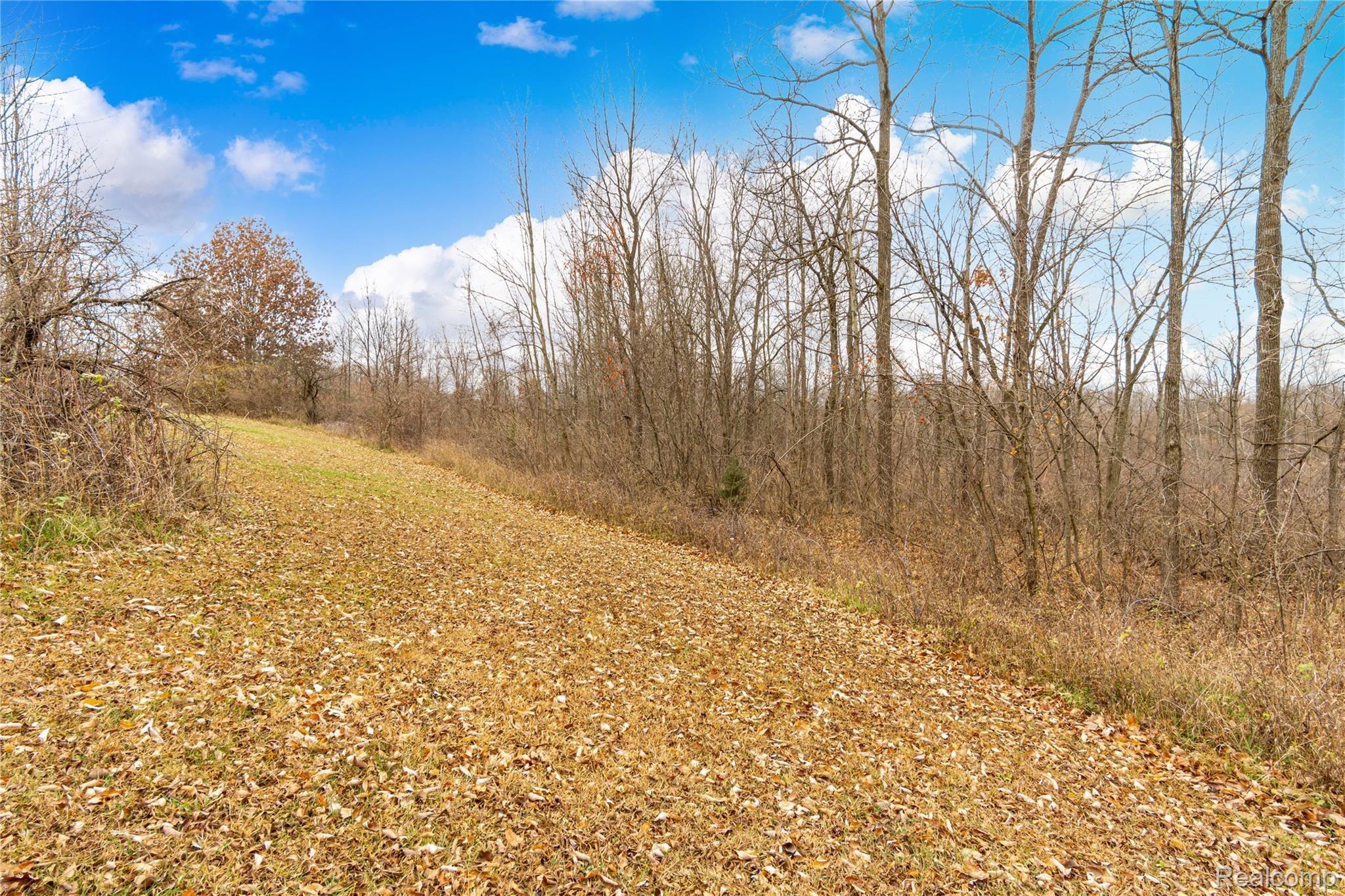 12030 Gage Road Holly, MI 48442 - Photo 44 of 52 Exteriors (7 of 7).jpg