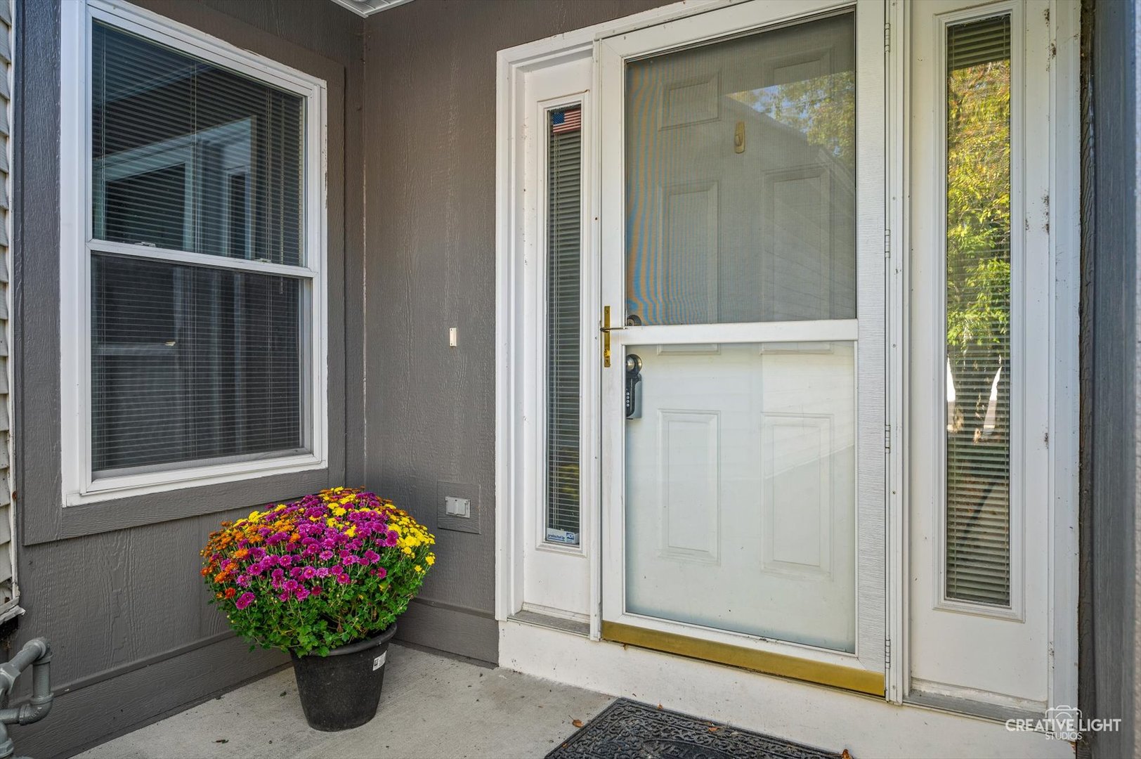 333 Inner Cir Drive Bolingbrook, IL 60490 - Photo 3 of 29 Gallery Image 3