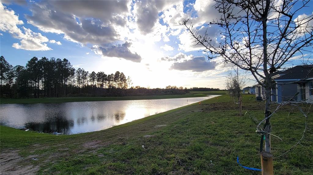 538 Hatteras Road Davenport, FL 33837 - Photo 22 of 29 a view of a lake from a yard