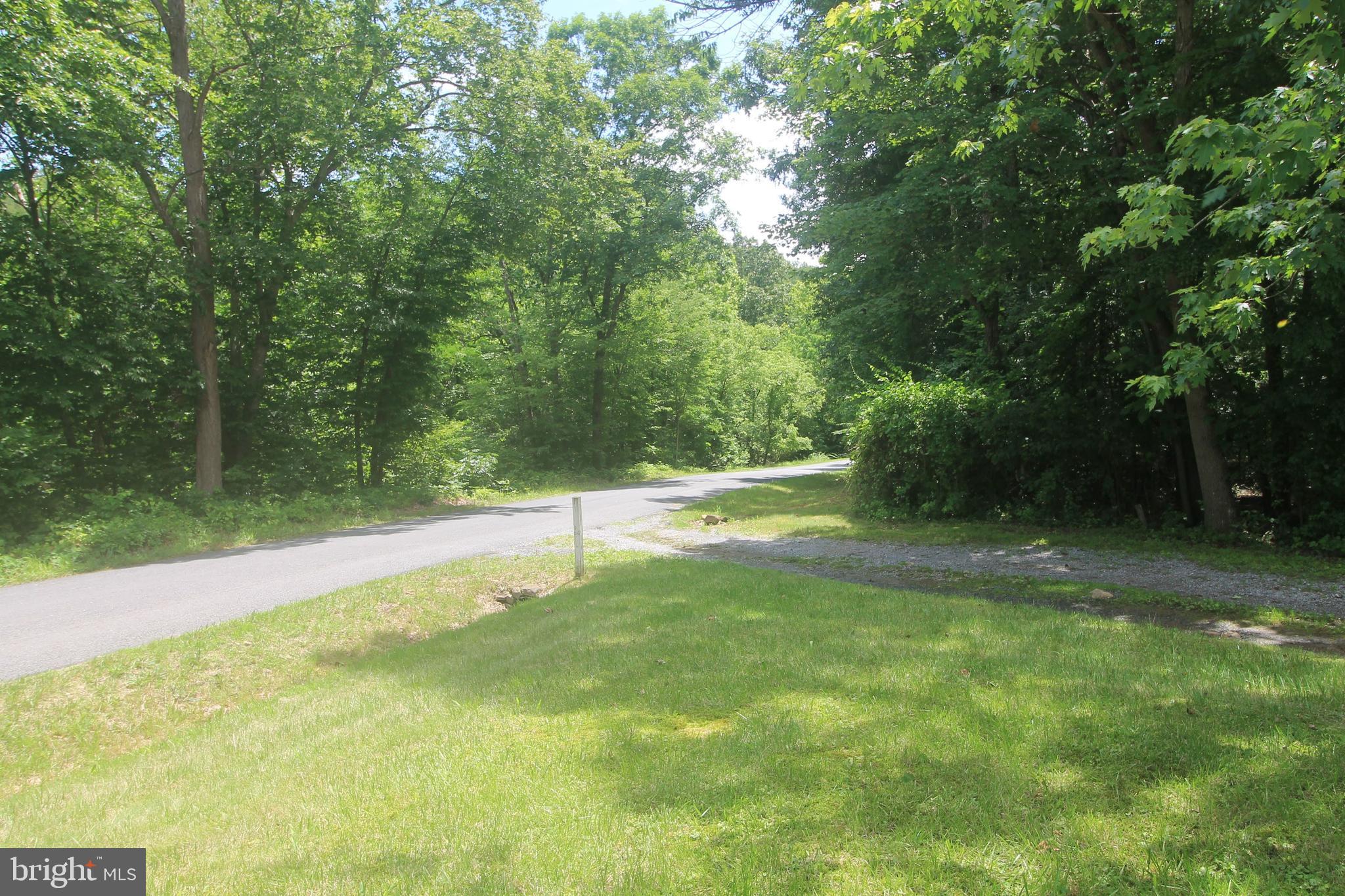 199 Keyser Run Road Washington, VA 22747 - Photo 2 of 30 a view of a trees with a yard