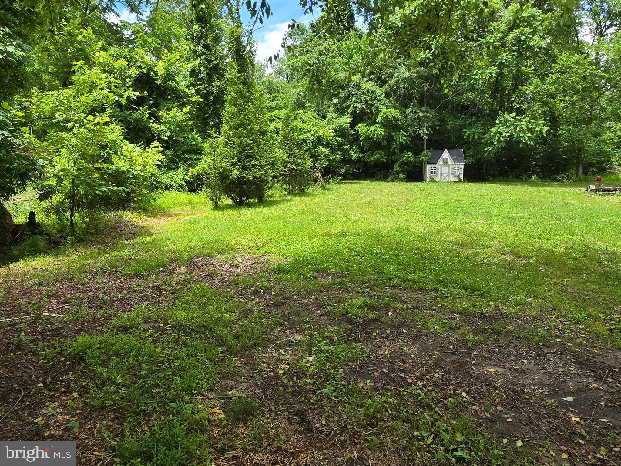 199 Keyser Run Road Washington, VA 22747 - Photo 6 of 30 a view of green field with trees in the background