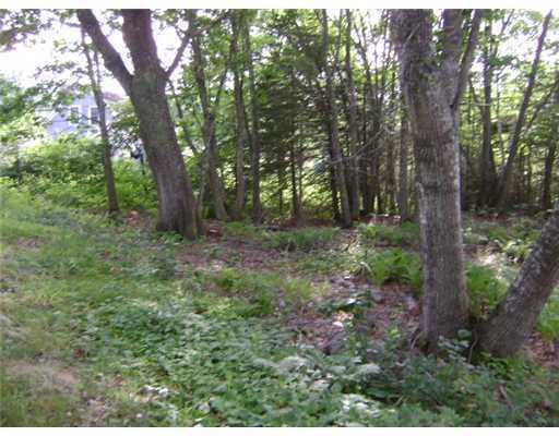 93 Huddle Road New Harbor, ME 04554 - Photo 5 of 5 Land.