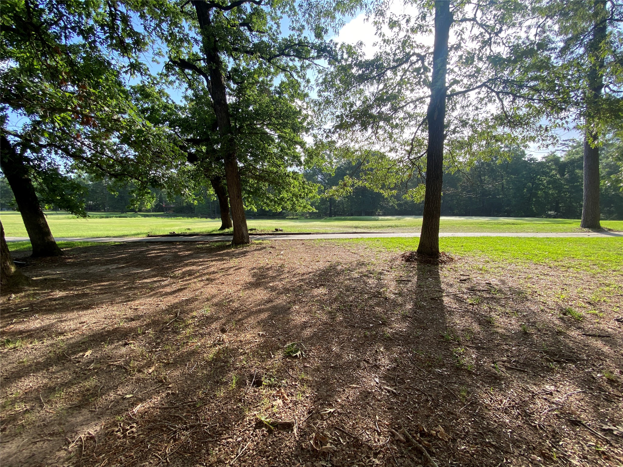 22358 Piney Point Road, Unit C Point Blank, TX 77364 - Photo 4 of 12