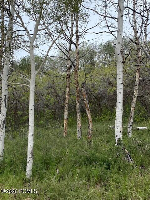 2604 South Forest Meadow Road Coalville, UT 84017 - Photo 2 of 28