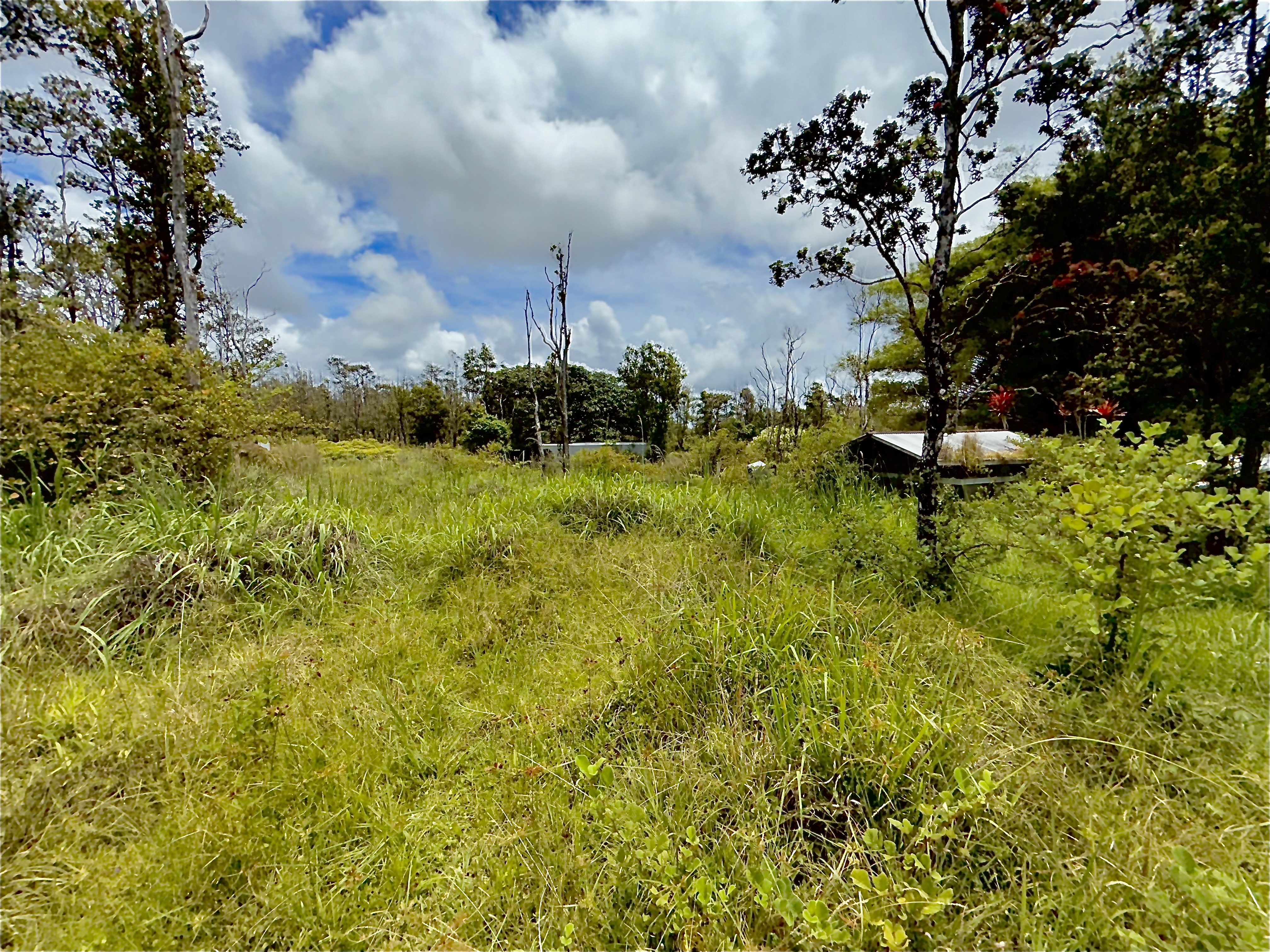 11-2736 Makoa Road Mountain View, HI 96771 - Photo 17 of 20 Gallery Image 17