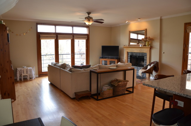 2339 West Rice Street, Unit D Chicago, IL 60622 - Photo 4 of 12