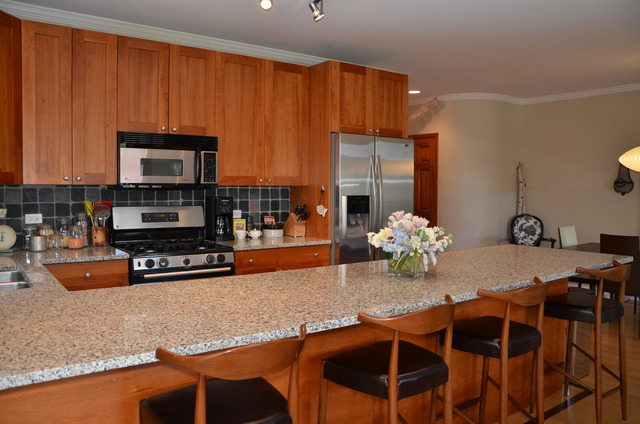 2339 West Rice Street, Unit D Chicago, IL 60622 - Photo 5 of 12