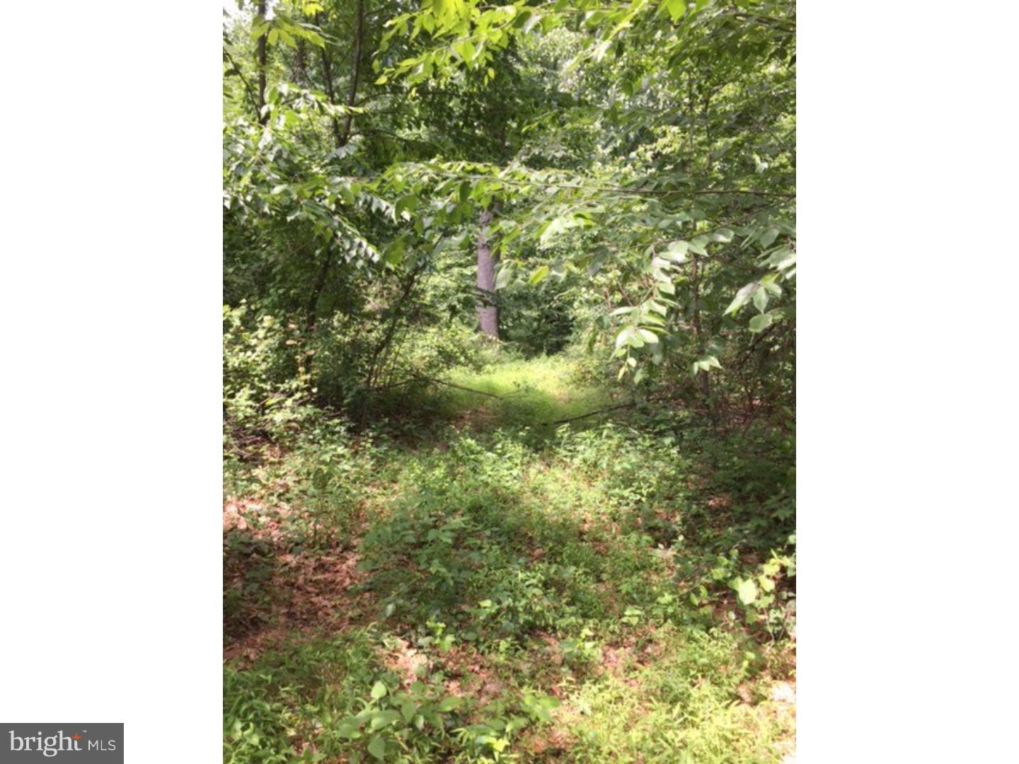 0 Sweitzer Road, Unit LOT 1 Mohnton, PA 19540 - Photo 2 of 2 View 2