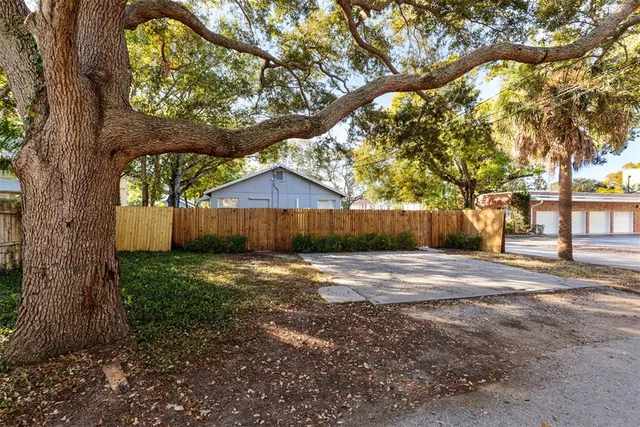 a view of a backyard with large tree and wooden fence