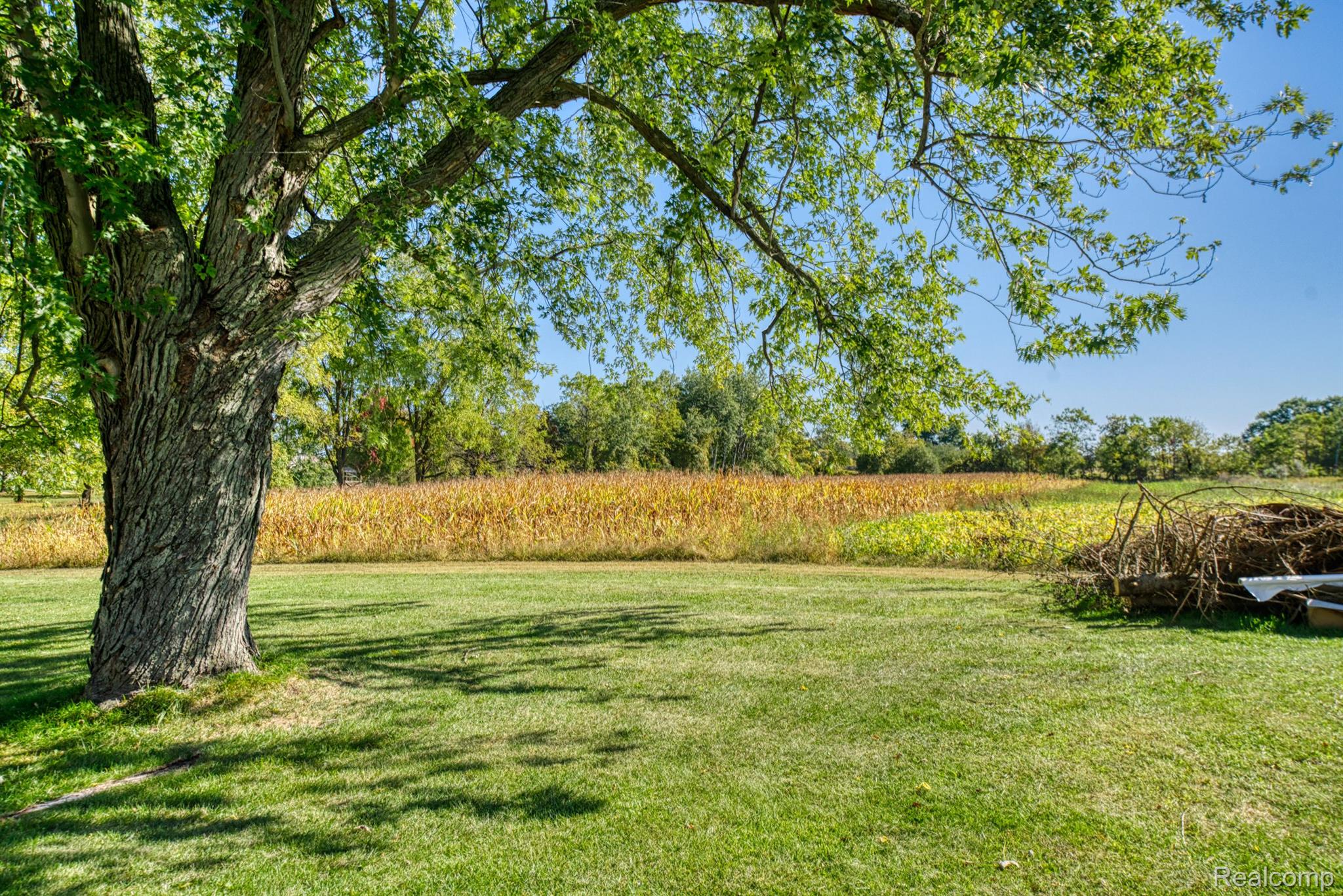 14115 South Scribner Road Perry, MI 48872 - Photo 26 of 30 Gallery Image 26
