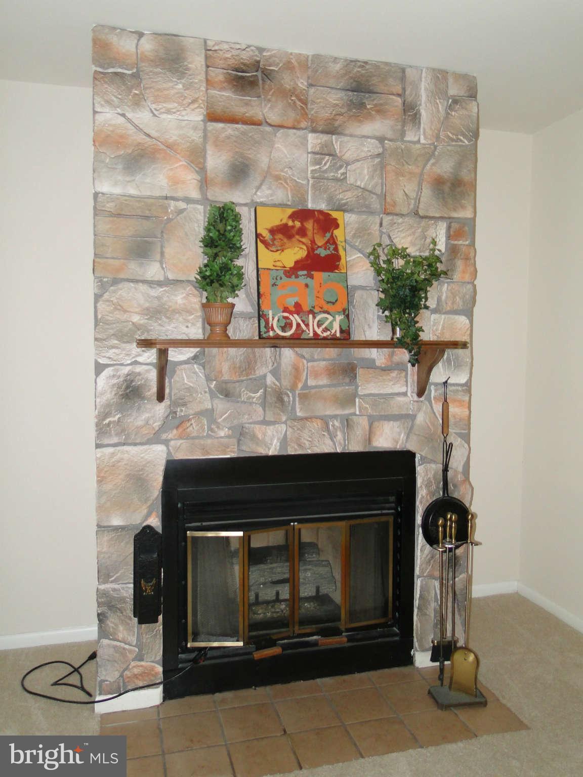 9422 Clocktower Lane Columbia, MD 21046 - Photo 12 of 28 Woodburning fireplace in living room