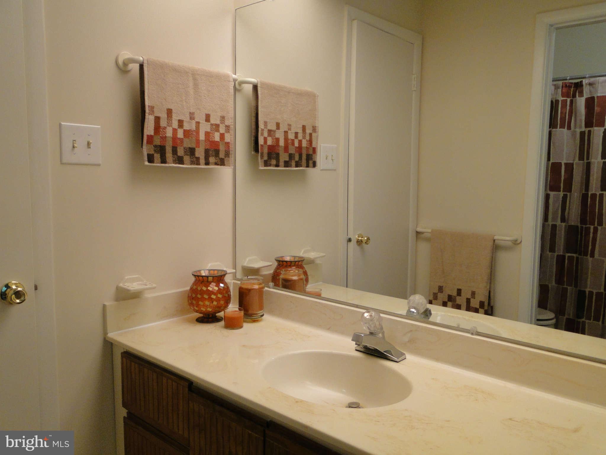 9422 Clocktower Lane Columbia, MD 21046 - Photo 16 of 28 Bath (Master)