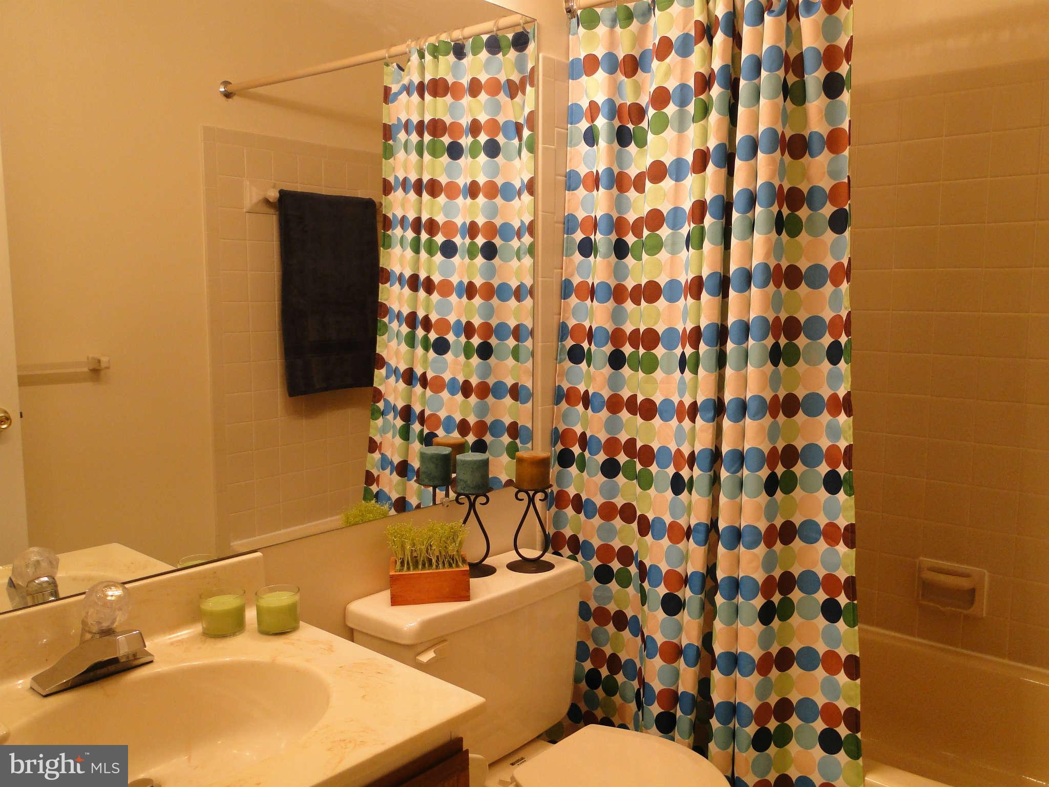 9422 Clocktower Lane Columbia, MD 21046 - Photo 18 of 28 Hall Bathroom
