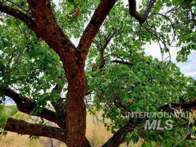 $385,000 | 2230 Kilborn Lane, Mesa, ID 83643