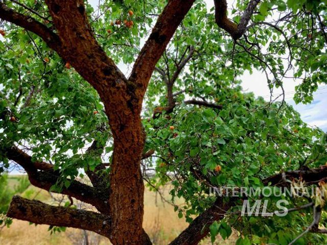 2230 Kilborn Lane Mesa, ID 83643 - Photo 19 of 39