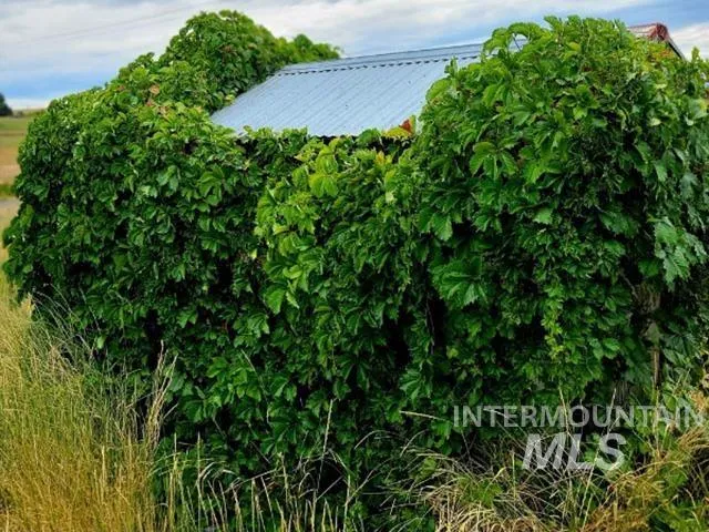 $385,000 | 2230 Kilborn Lane, Mesa, ID 83643