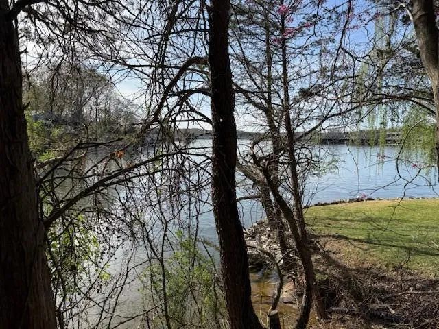 a view of a yard with large trees