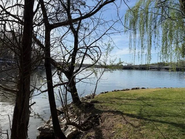 a view of a yard with large trees