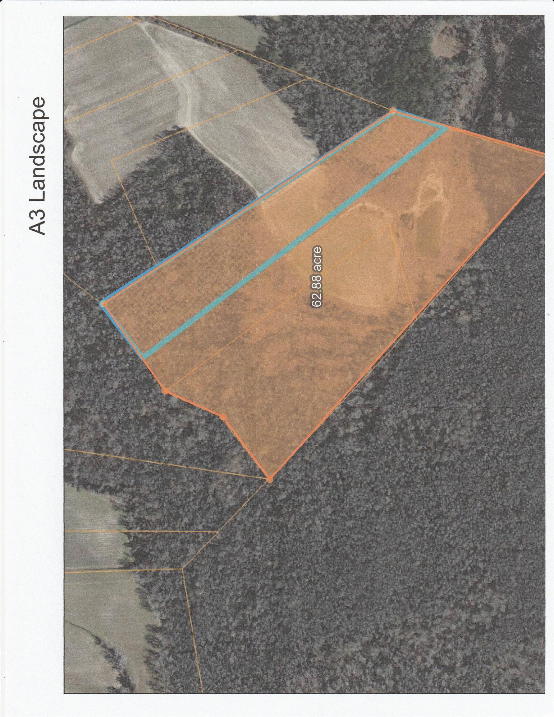 62.88-acres-tbd Farguson Road Nichols, SC 29581 - Photo 3 of 3 Aerial view of property's location with property boundaries highlighted