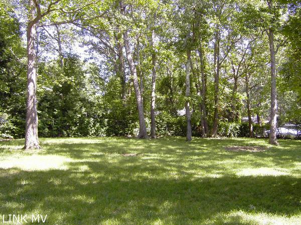 29 East Side Road Oak Bluffs, MA 02557 - Photo 4 of 20 Summer view rear lawn area
