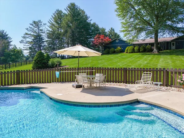 a view of a backyard with large trees