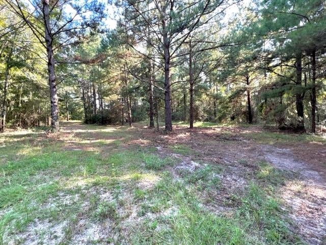 0 Ellis Griggs Road Andalusia, AL 36420 - Photo 4 of 10 Gallery Image 4