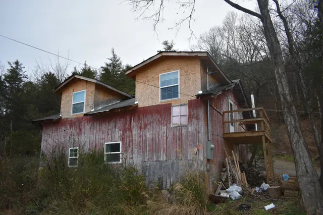 a view of a forest with trees in the background