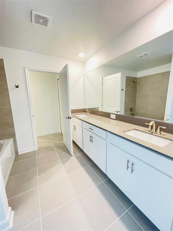 11732 Language Way Orlando, FL 32832 - Photo 17 of 24 a spacious bathroom with a mirror sink and double