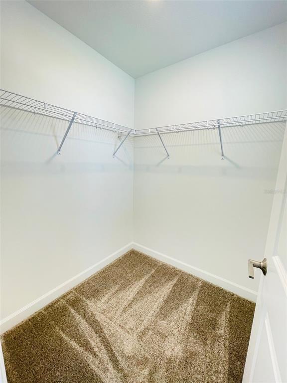 11732 Language Way Orlando, FL 32832 - Photo 21 of 24 a view of a room