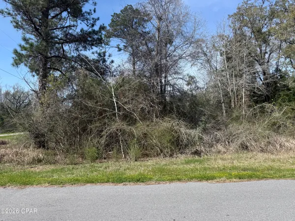 $460,000 | 0 New Salem Road, Marianna, FL 32448