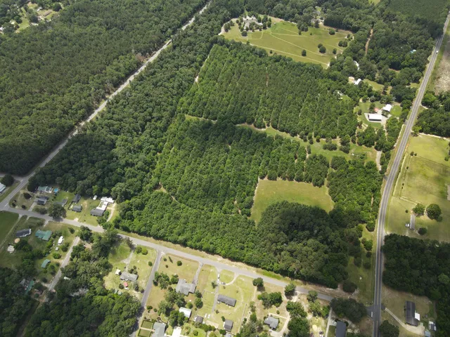 $350,000 | 0 Reynolds Road, Barnwell, SC 29812