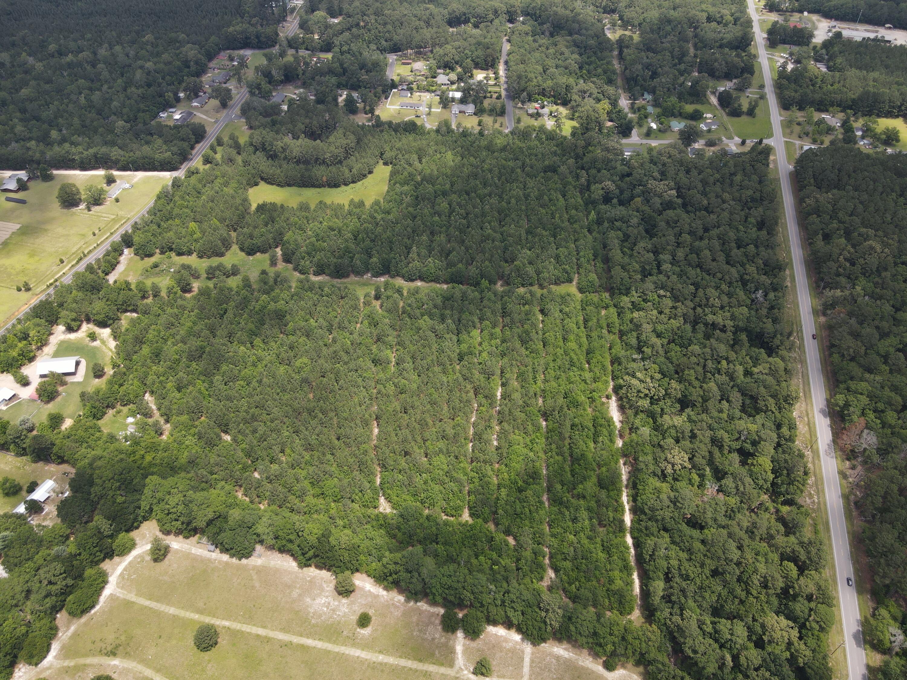 0 Reynolds Road Barnwell, SC 29812 - Photo 14 of 27 DJI_0543