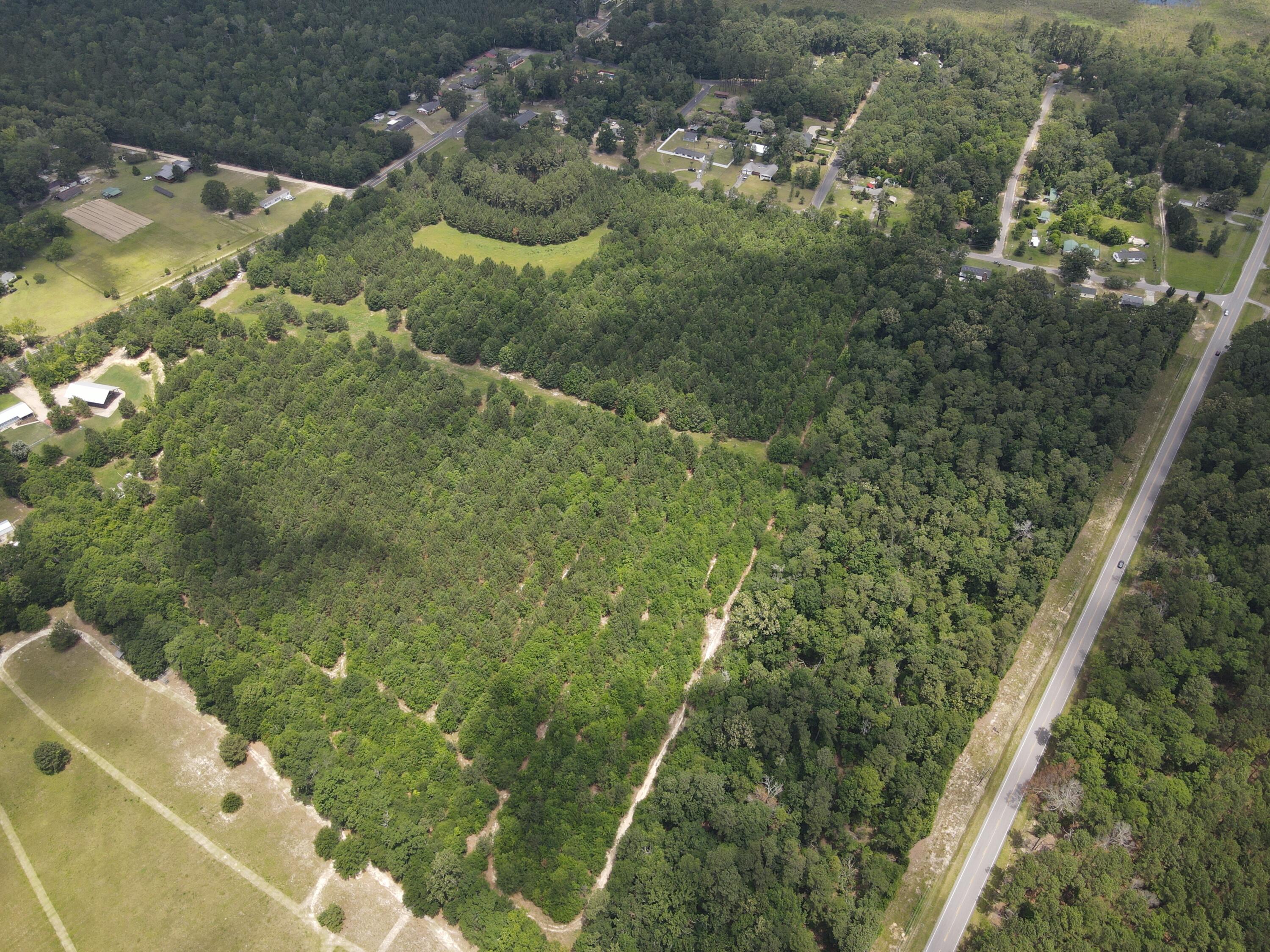 0 Reynolds Road Barnwell, SC 29812 - Photo 15 of 27 DJI_0544