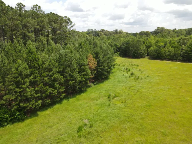$350,000 | 0 Reynolds Road, Barnwell, SC 29812