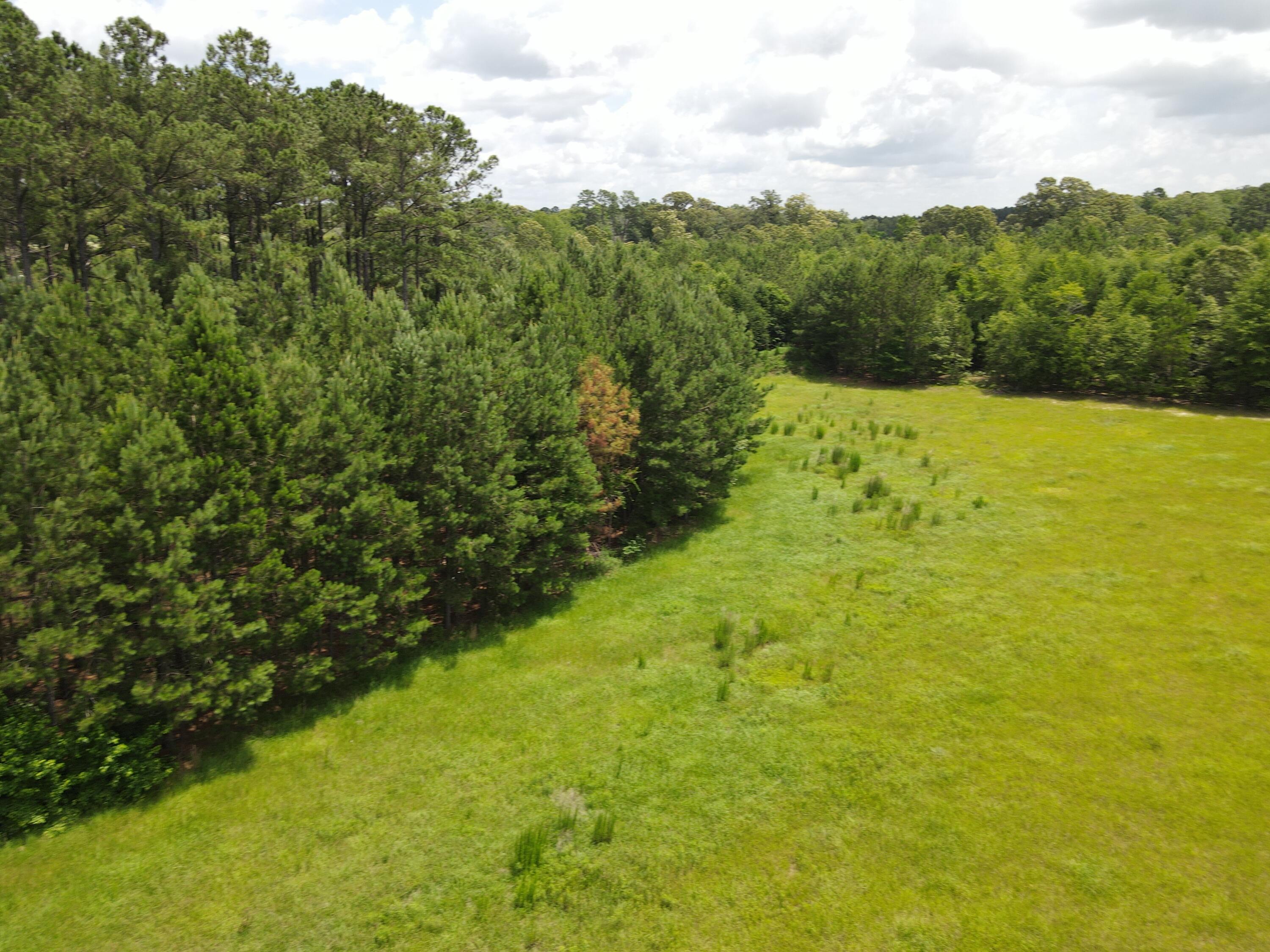 0 Reynolds Road Barnwell, SC 29812 - Photo 17 of 27 DJI_0552