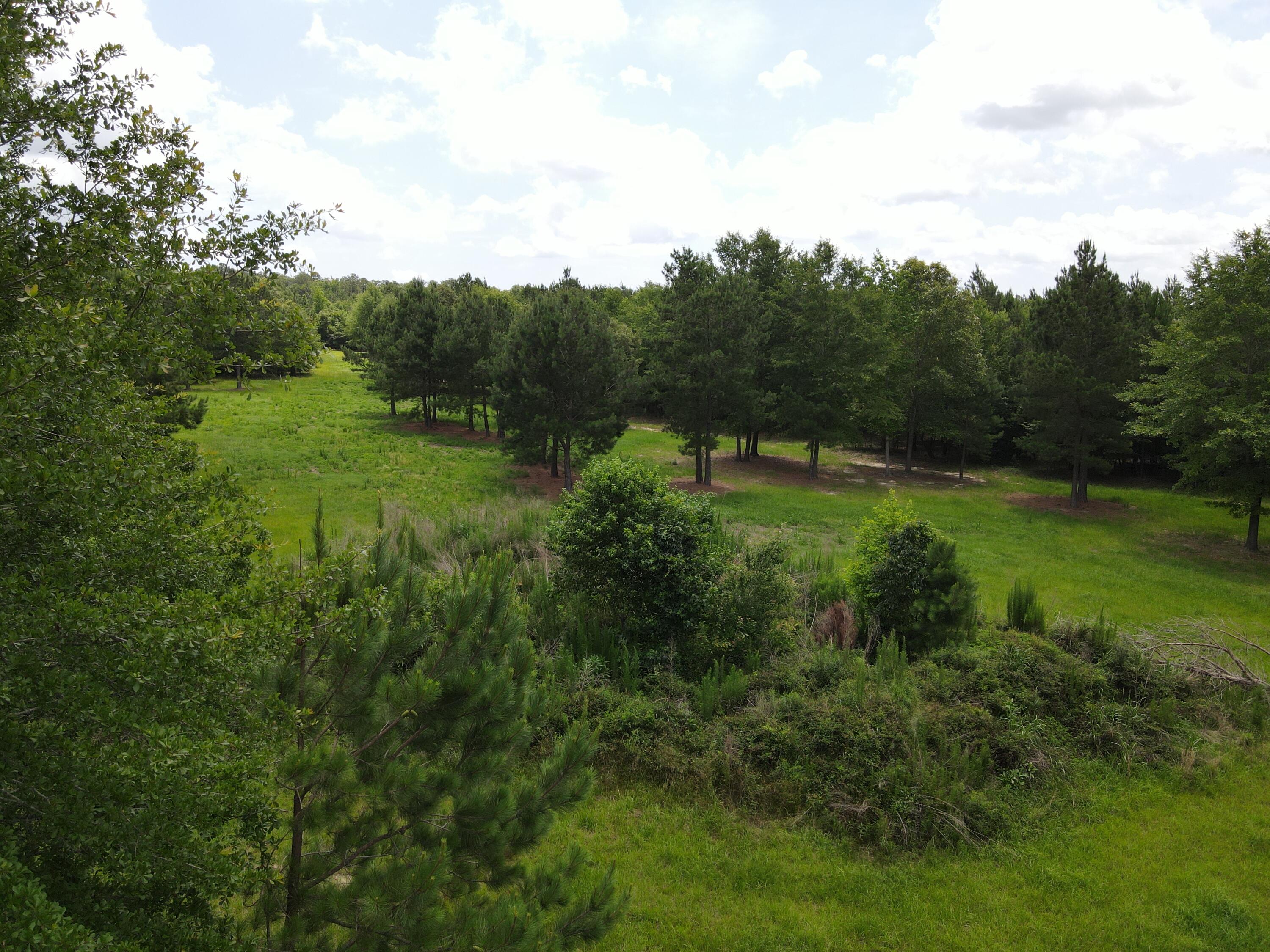 0 Reynolds Road Barnwell, SC 29812 - Photo 19 of 27 DJI_0554