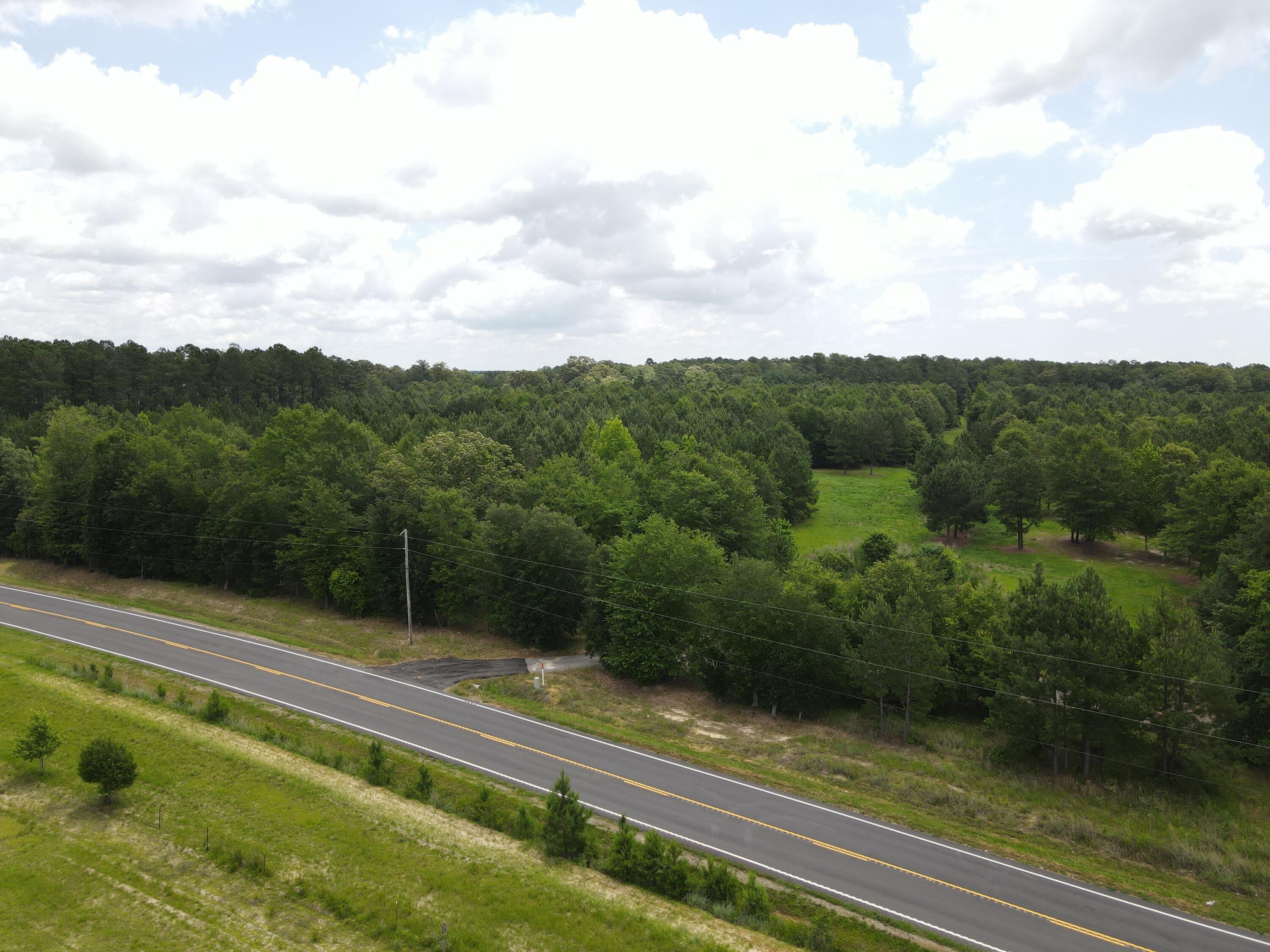 0 Reynolds Road Barnwell, SC 29812 - Photo 26 of 27 DJI_0563
