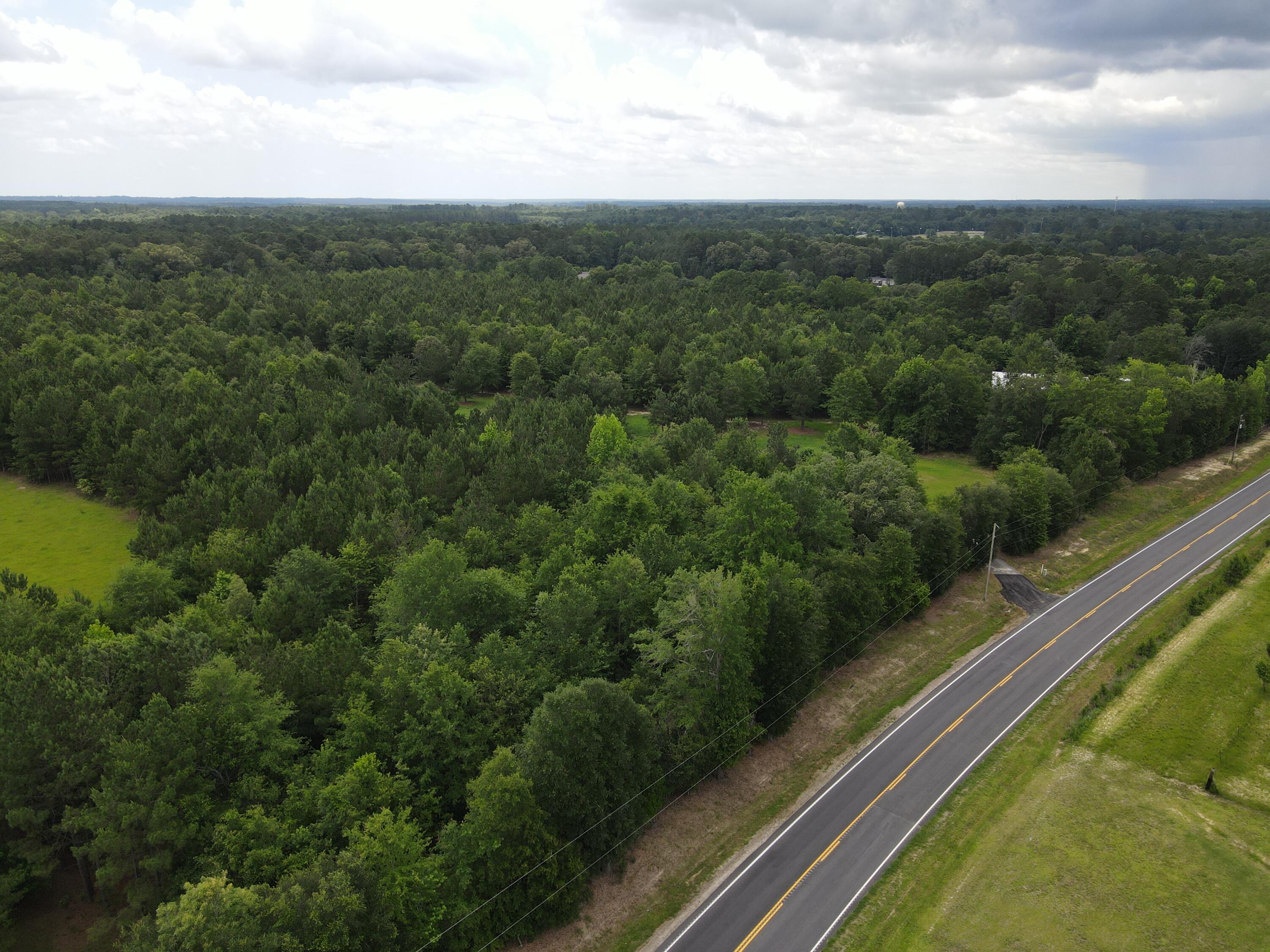 0 Reynolds Road Barnwell, SC 29812 - Photo 27 of 27 DJI_0567