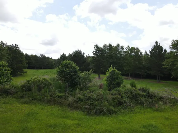 $285,000 | 0 Reynolds Road, Barnwell, SC 29812
