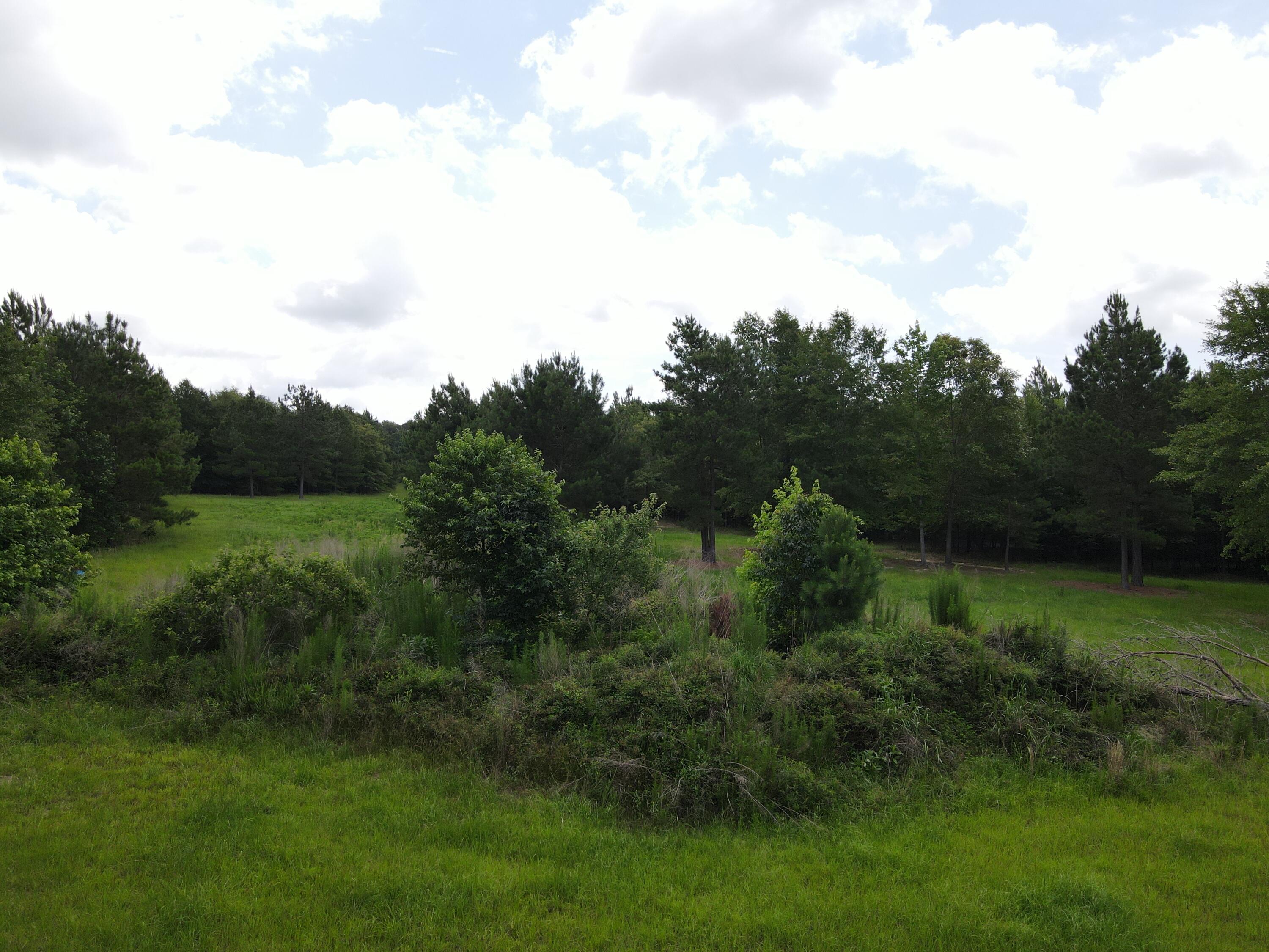 0 Reynolds Road Barnwell, SC 29812 - Photo 4 of 27 DJI_0523