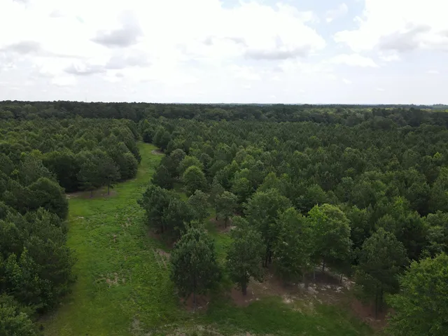 $350,000 | 0 Reynolds Road, Barnwell, SC 29812