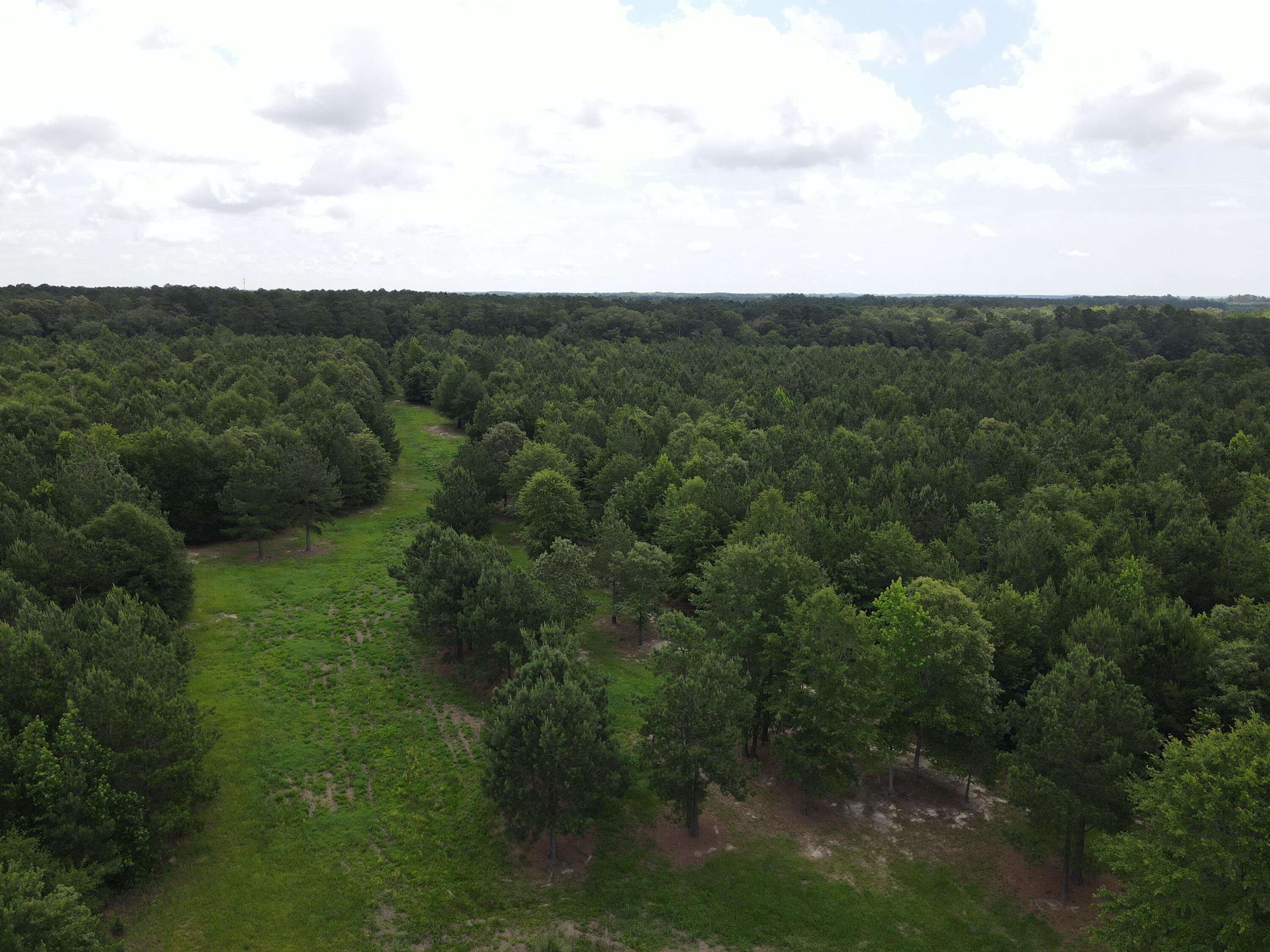 0 Reynolds Road Barnwell, SC 29812 - Photo 5 of 27 DJI_0524