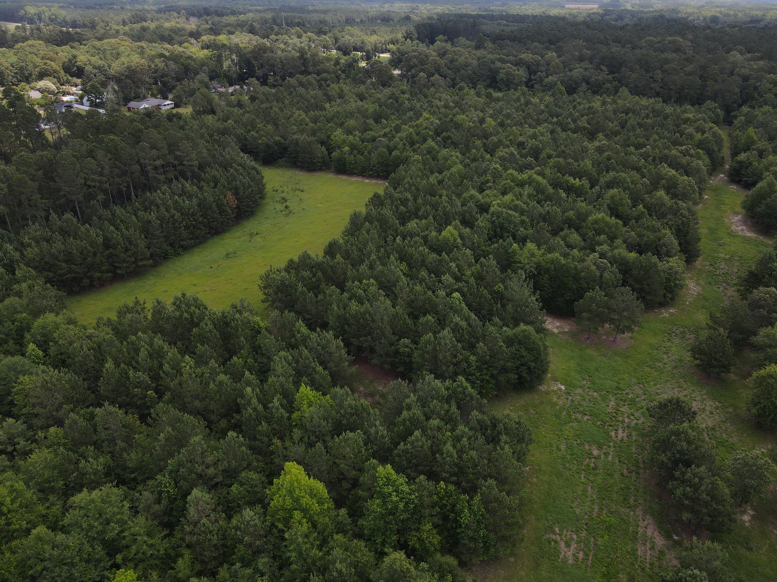 0 Reynolds Road Barnwell, SC 29812 - Photo 6 of 27 DJI_0525