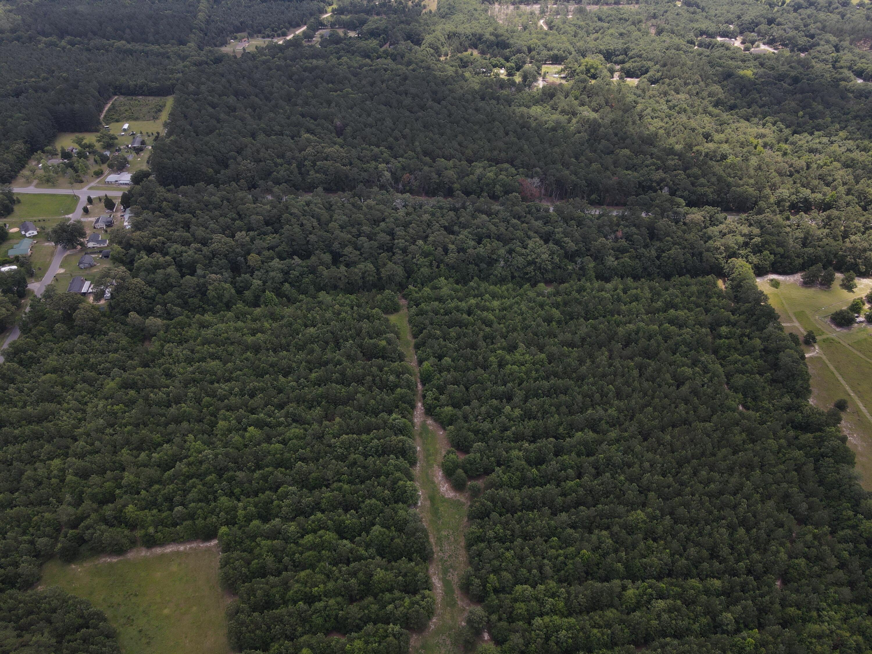 0 Reynolds Road Barnwell, SC 29812 - Photo 7 of 27 DJI_0526