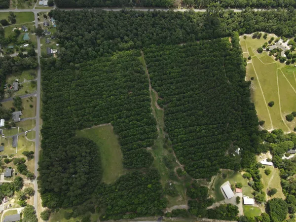 $285,000 | 0 Reynolds Road, Barnwell, SC 29812