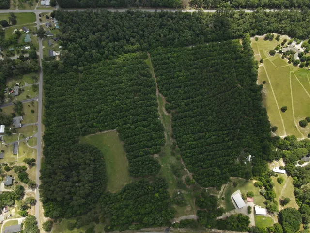 $350,000 | 0 Reynolds Road, Barnwell, SC 29812