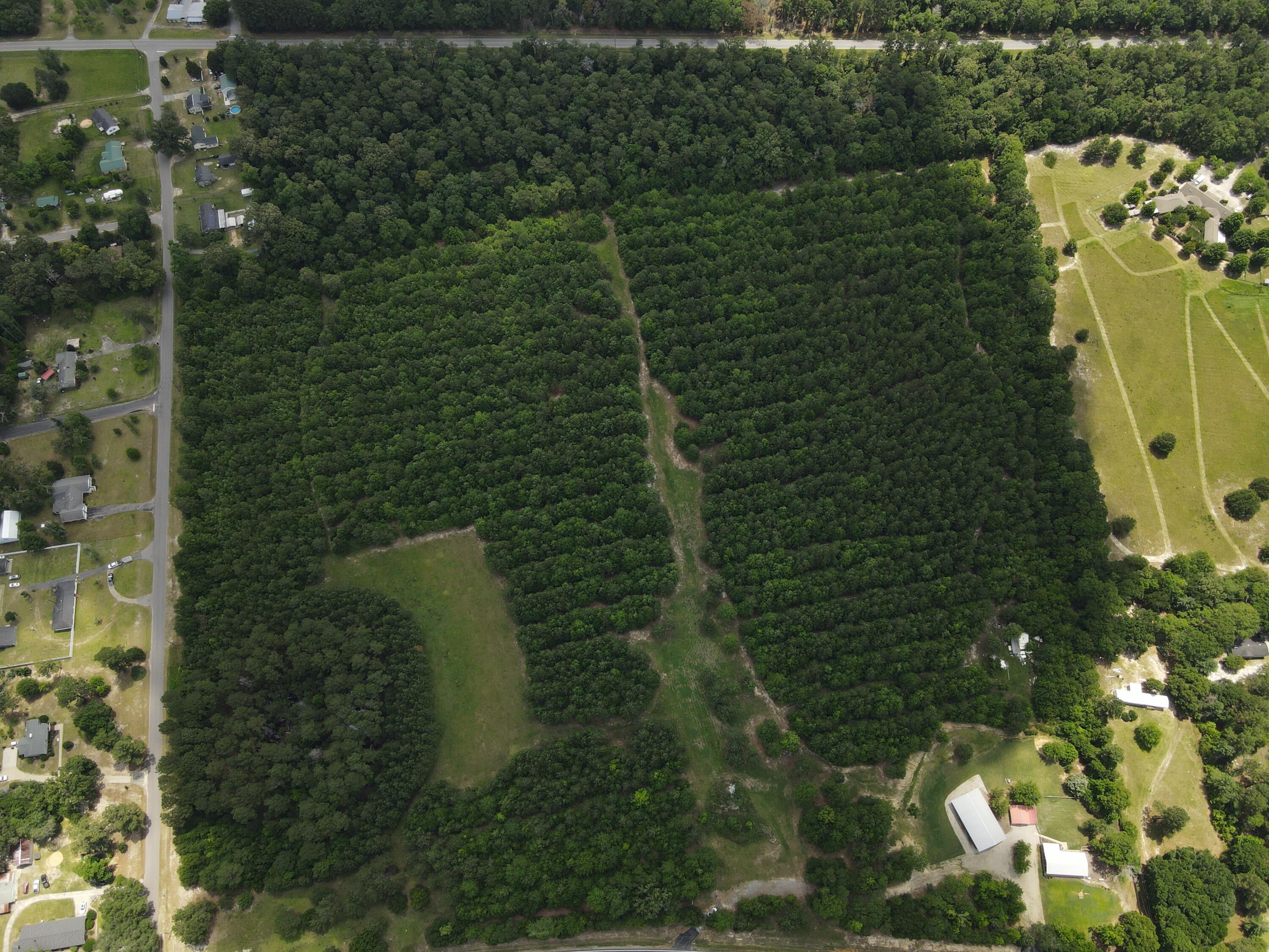 0 Reynolds Road Barnwell, SC 29812 - Photo 8 of 27 DJI_0527