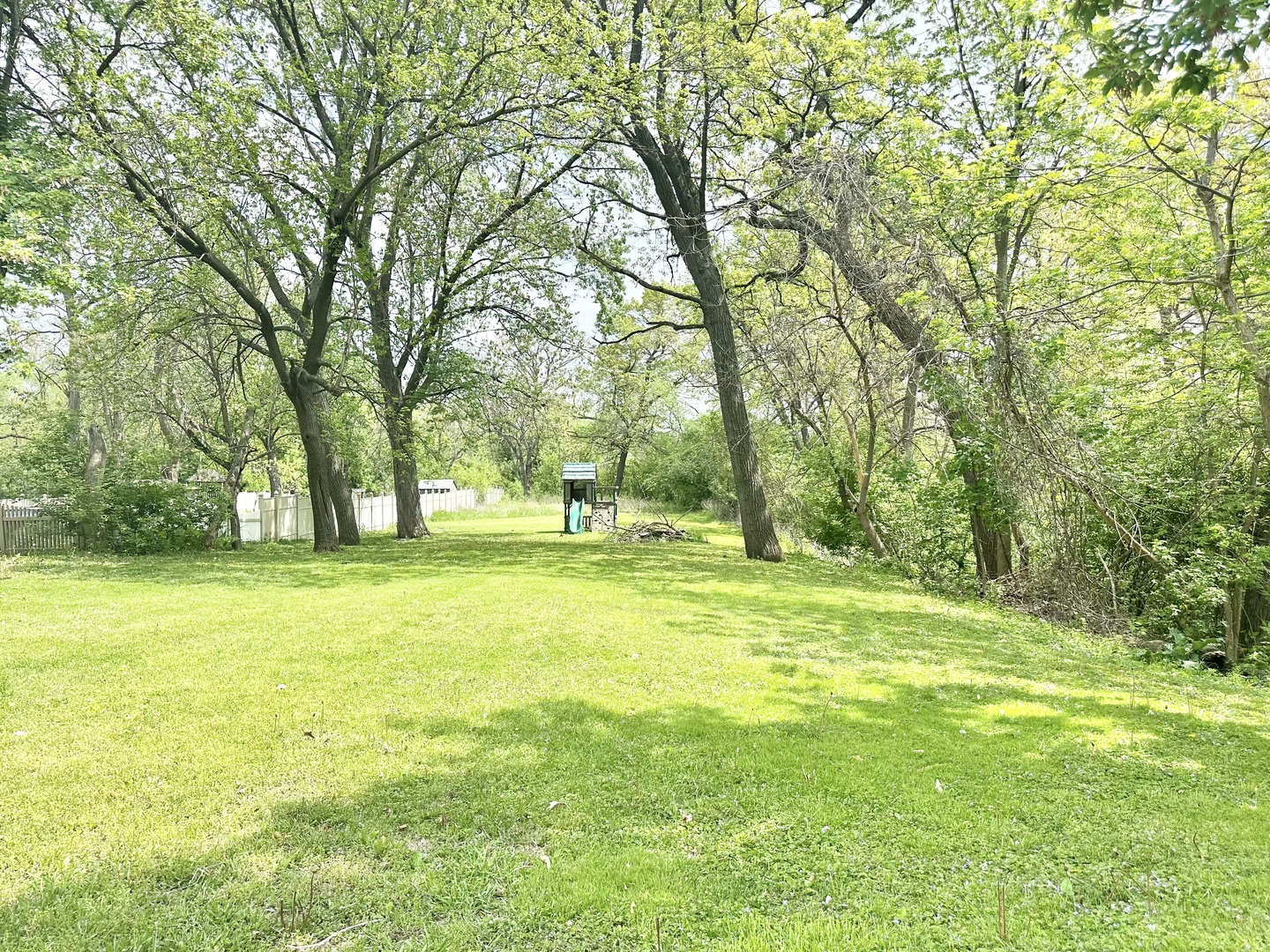 301 Illinois Avenue Elgin, IL 60120 - Photo 14 of 14 a view of a trees with a big yard