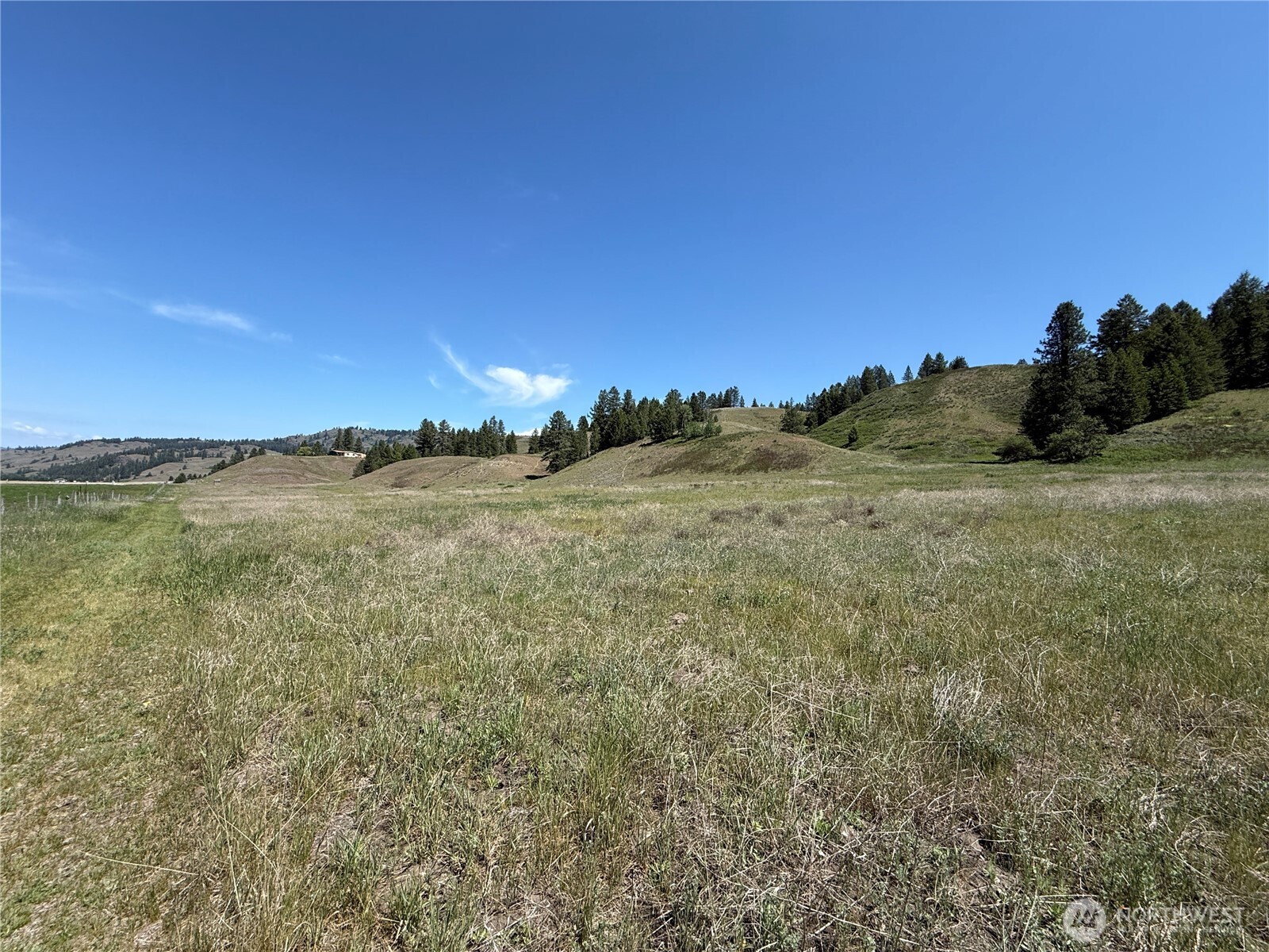 0 Art Creek Road Malo, WA 99150 - Photo 13 of 13 a view of a field with an ocean