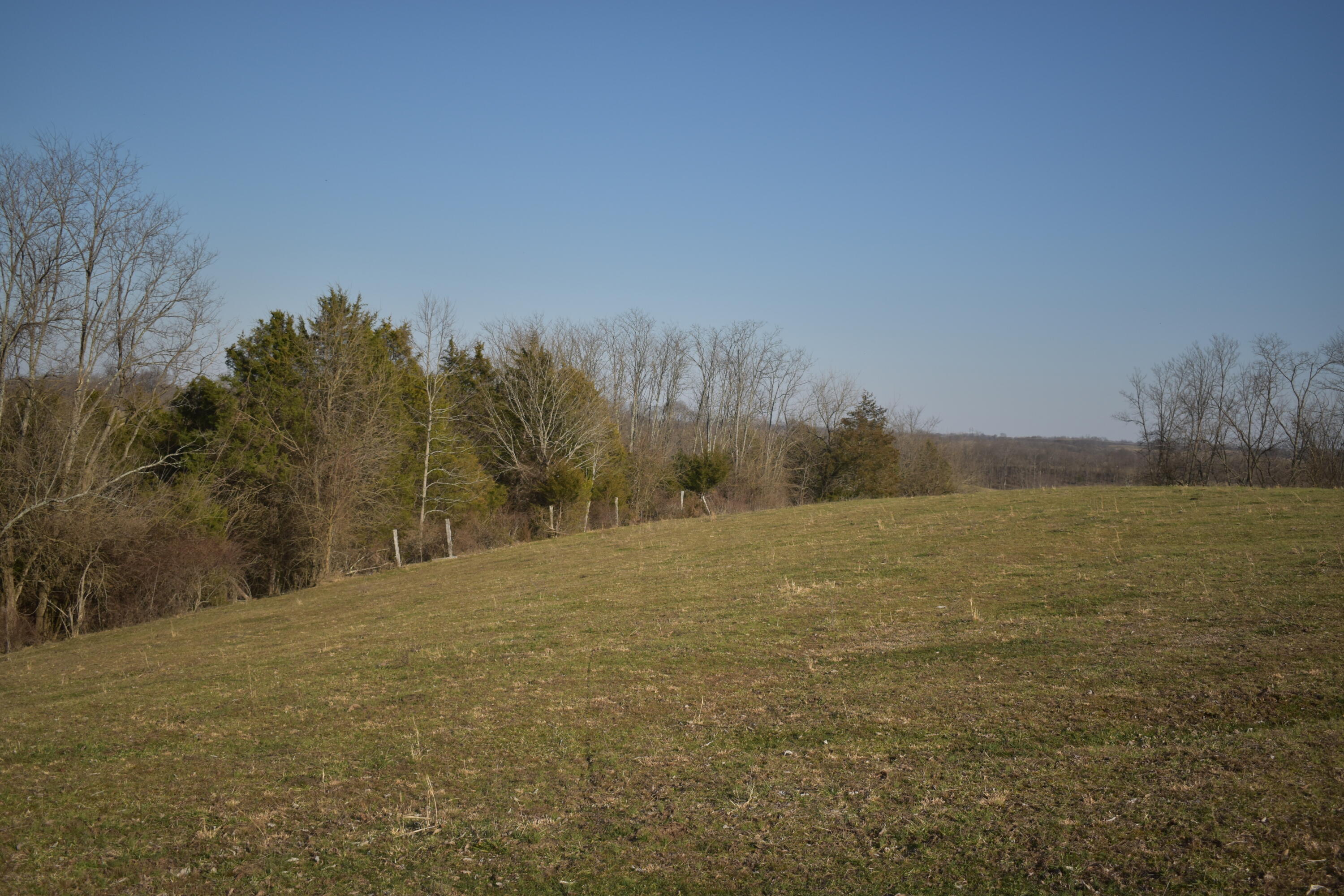 3036 Somerset Road Sharpsburg, KY 40374 - Photo 8 of 20 DSC_0503